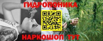 марихуана Краснознаменск