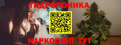 дмт Краснодар
