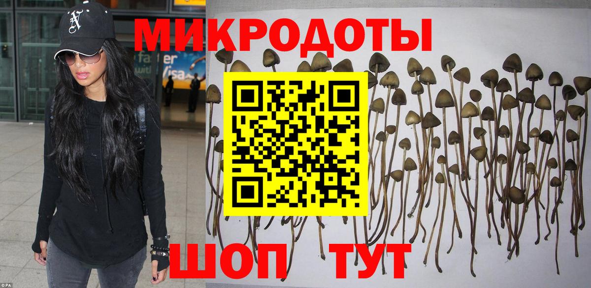 Галлюциногенные грибы прущие грибы Дербент