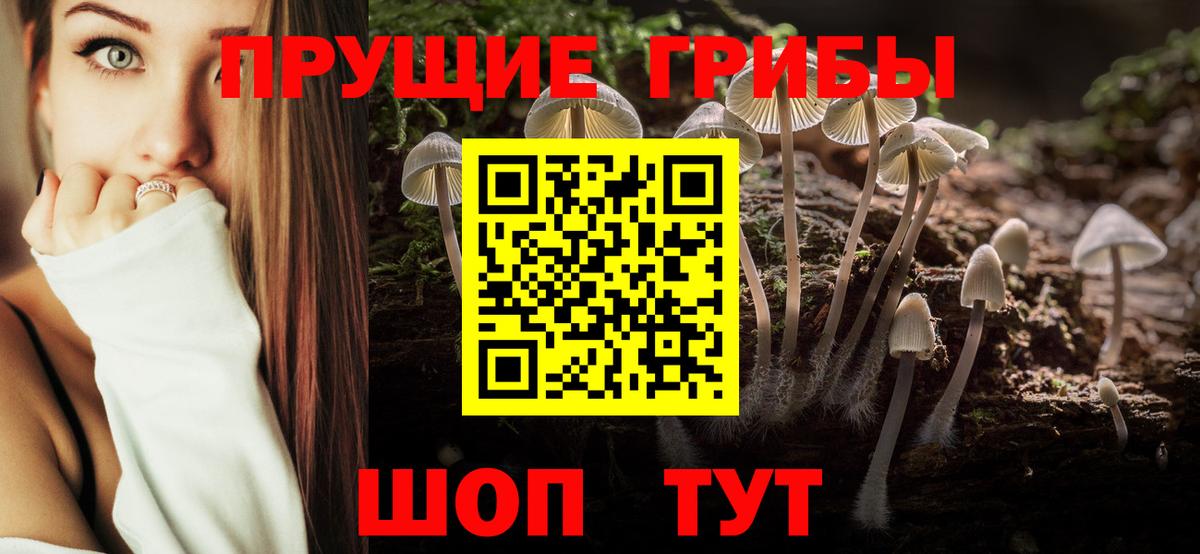 где продают наркотики  Вход с VPN  Дербент  Псилоцибиновые грибы Cubensis 